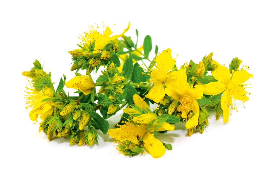 St. John's Wort u spreju Nicode